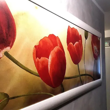 城堡酒店 酒店 里米尼