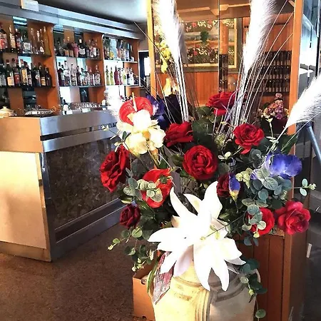 酒店 Alcazar 里米尼